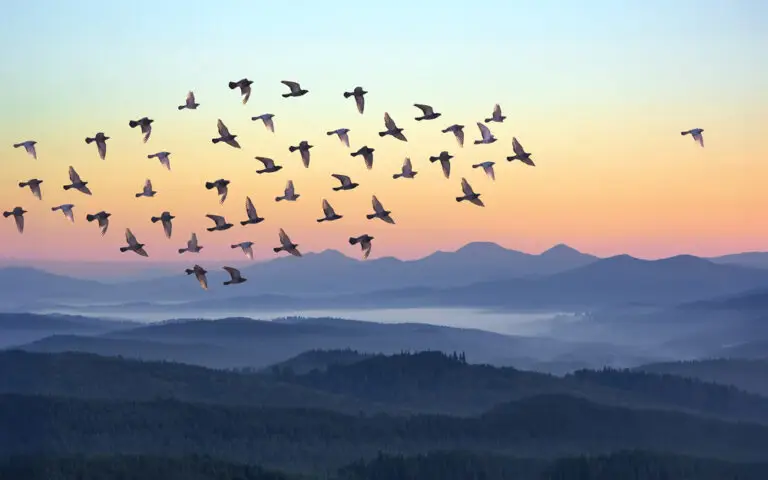Guiding the way: the art of effective leadership